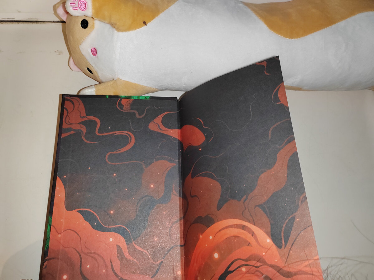 Внутренняя обложка обеих книг