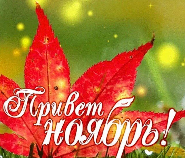 Фото из открытого источника