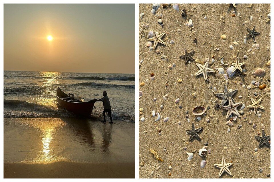    Такую красоту Ольга видит на пляже в Индии. Фото: социальные сети Ольги Барабанщиковой.