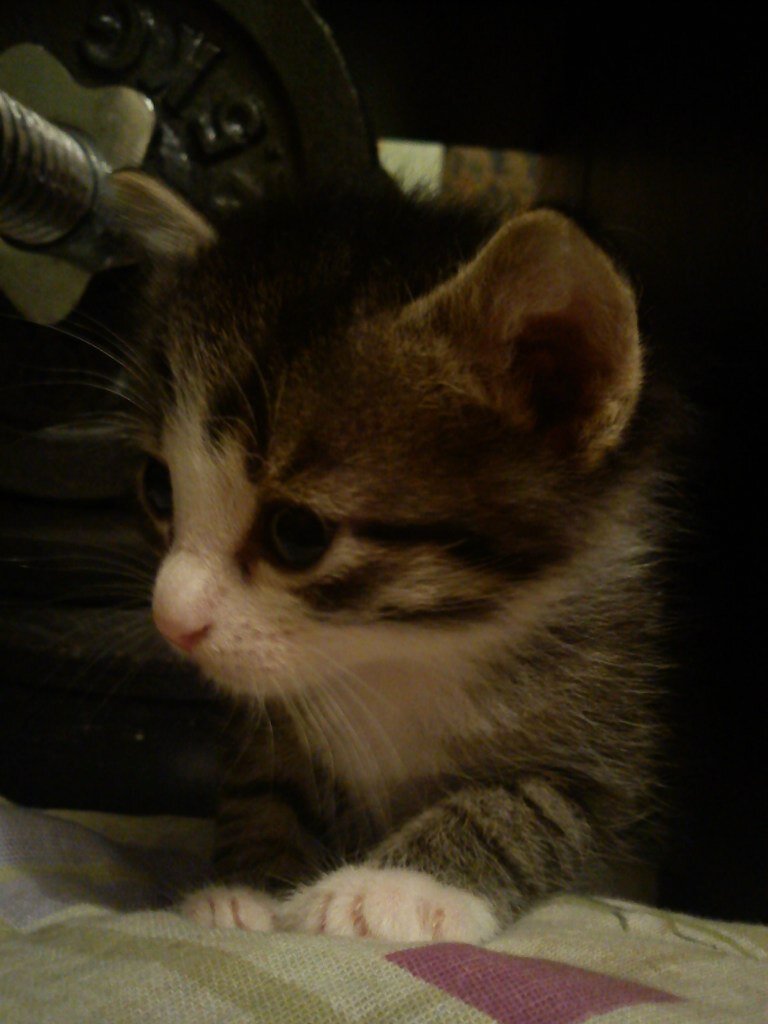 Качество фото печальное, но в 2012-ом году телефоны лучше не умели