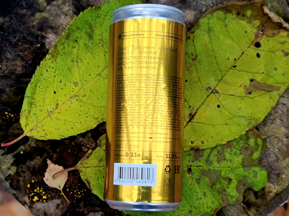 Бакунин Юбилейный 10, фото автора