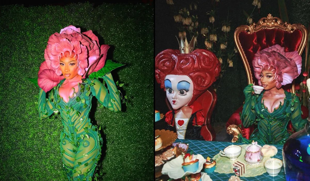 Меган Ти. Фото: theestallion/ Instagram*