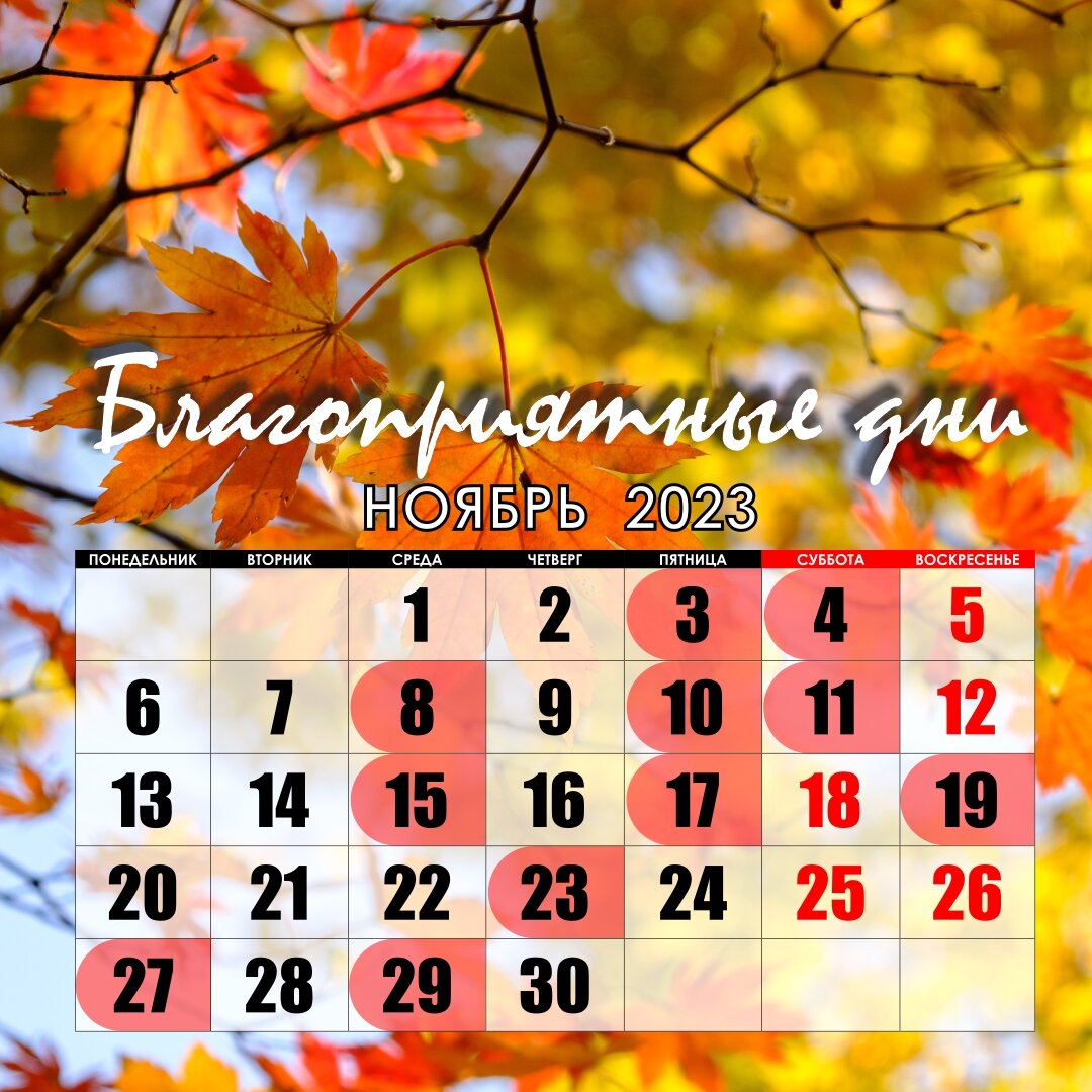 Удачные дни отмечены красным значком.