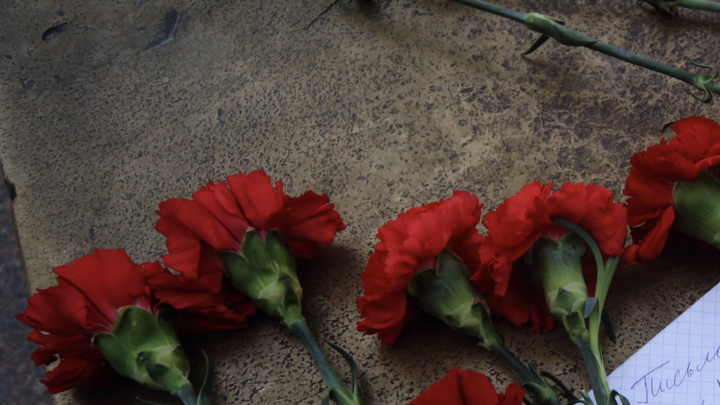 ФОТО: © ZAMIR USMANOV/GLOBALLOOKPRESS 