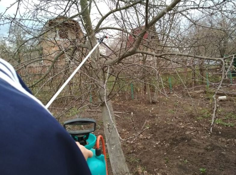 Последняя в году обработка сада