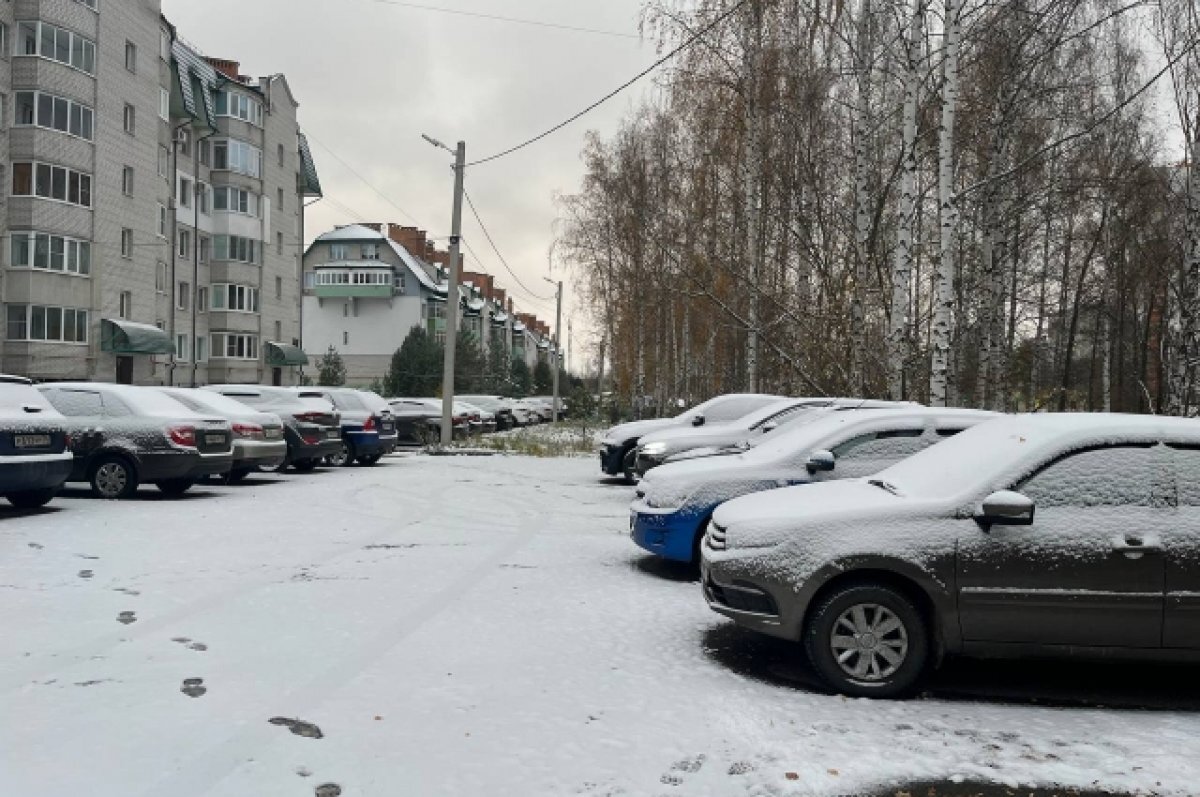    До +4 градусов, дождь и снег обещают синоптики в Алтайском крае 1 ноября