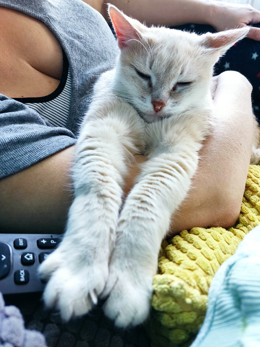 Раюшенька-душенька, с творогом ватрушенька