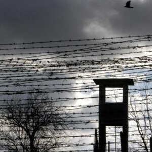 Троих жителей Аларского района осудили за особо тяжкое преступление и его сокрытие. Об этом сообщили в пресс-службе СУ СКР по Иркутской области.