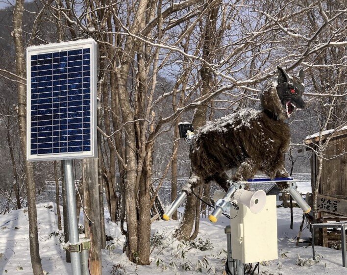    Фото: abcnews.go.com/ A Monster Wolf, a scarecrow-like deterrent for wildlife, is seen in the snow in an undated image in Japan supplied by Ohta Seiki. Анфиса Слепцова