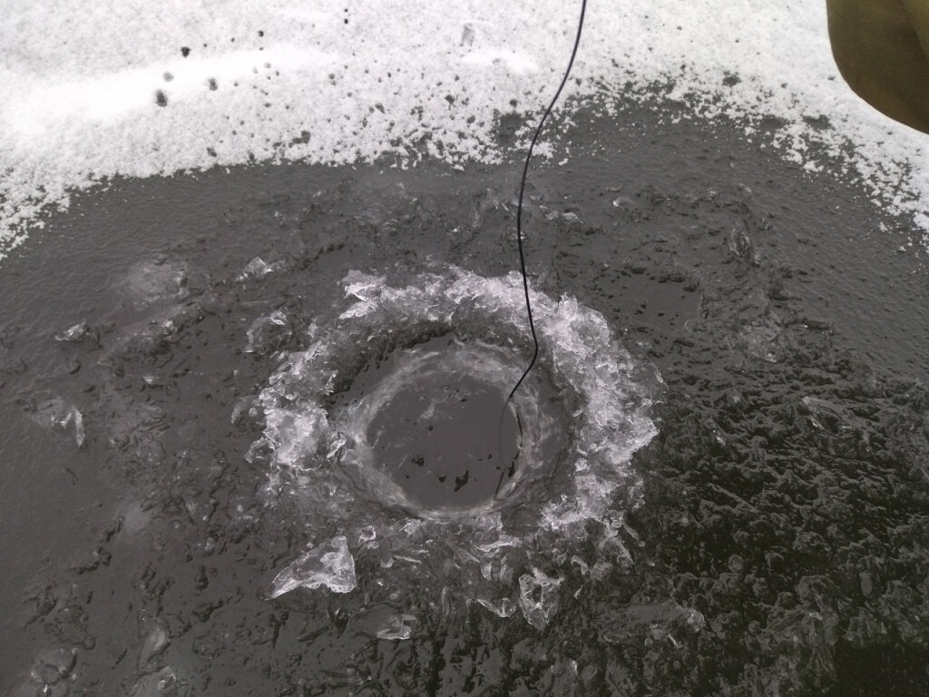 © Фото - «Рыбалка в Новосибирске».📷
