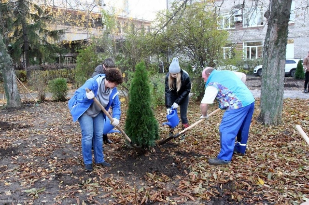    31 октября в Педагогическом сквере Рязани высадили 26 молодых саженцев