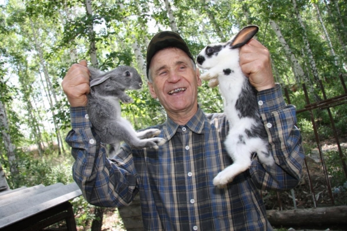    Во время пожара в Томске спасли 10 кроликов