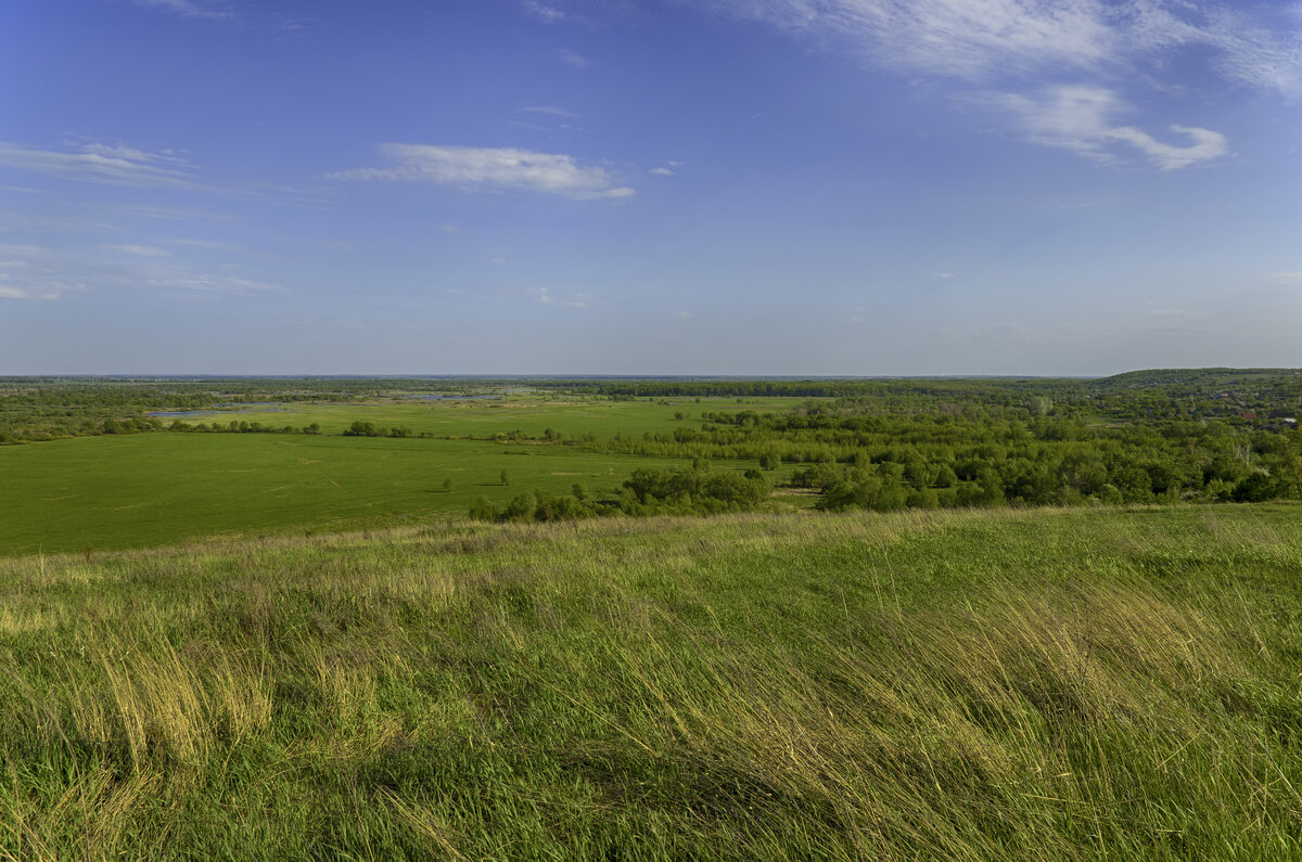 istockphoto.com