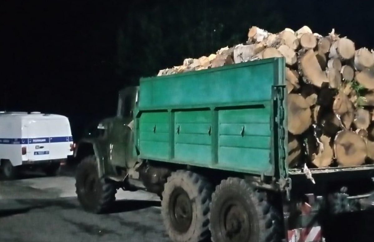    Житель Камчатки заплатил 100 тысяч рублей за незаконную рубку леса