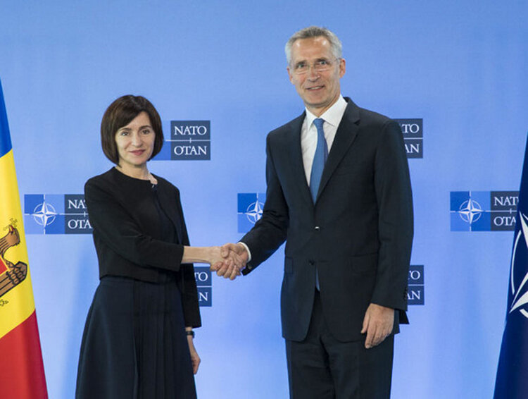 все изображения из открытых источников яндекс картинки.