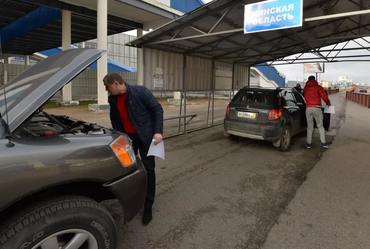 ГАИ предложила белорусам «пробивать» авто перед покупкой по своей базе.  Сколько стоит новая услуга? — Полезно | Telegraf - Новости | Дзен