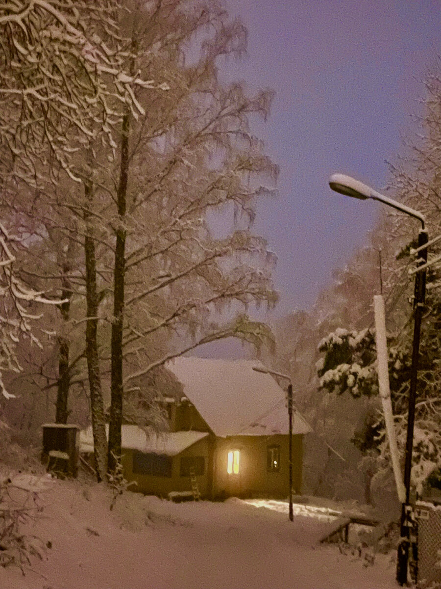 Домик на краю леса. Башкирия, конец октября. Снегопад и дымка на горе.  