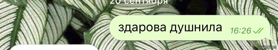 Душнила это. Душнила. Душнила Мем. Шутки про душнил. Душнилы это кто.