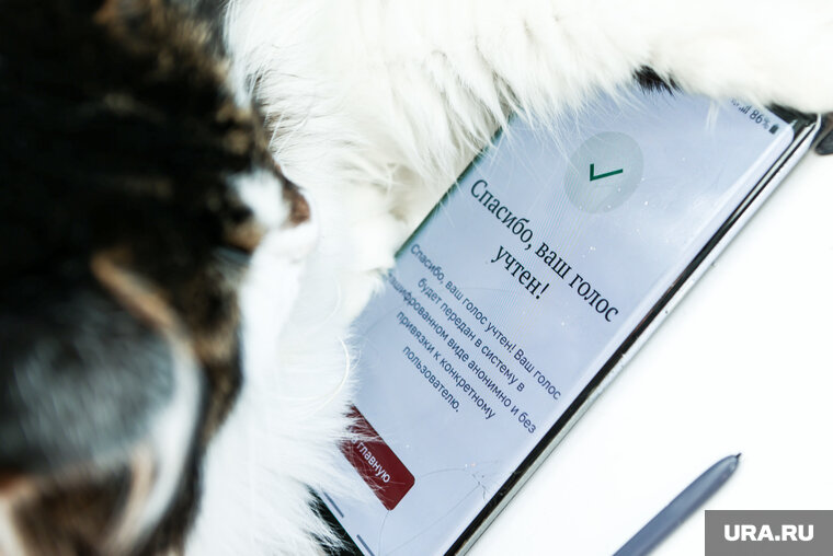    Пермский край участвует в общероссийской тренировке по дистанционному электронному голосованию