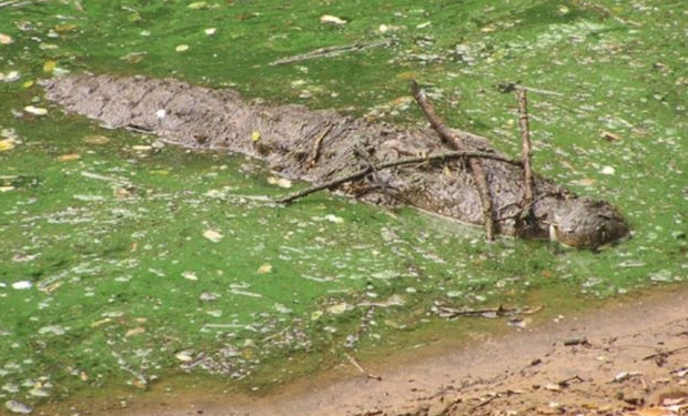 ��� ����� ��������. � �� ������ ������ �� ���� ���������. ����� ���� ����� ���������, ������������� ������� �����������. ��� ��������� ����� ����������� � �������� ��������� ��������� � ���� ��������.-11