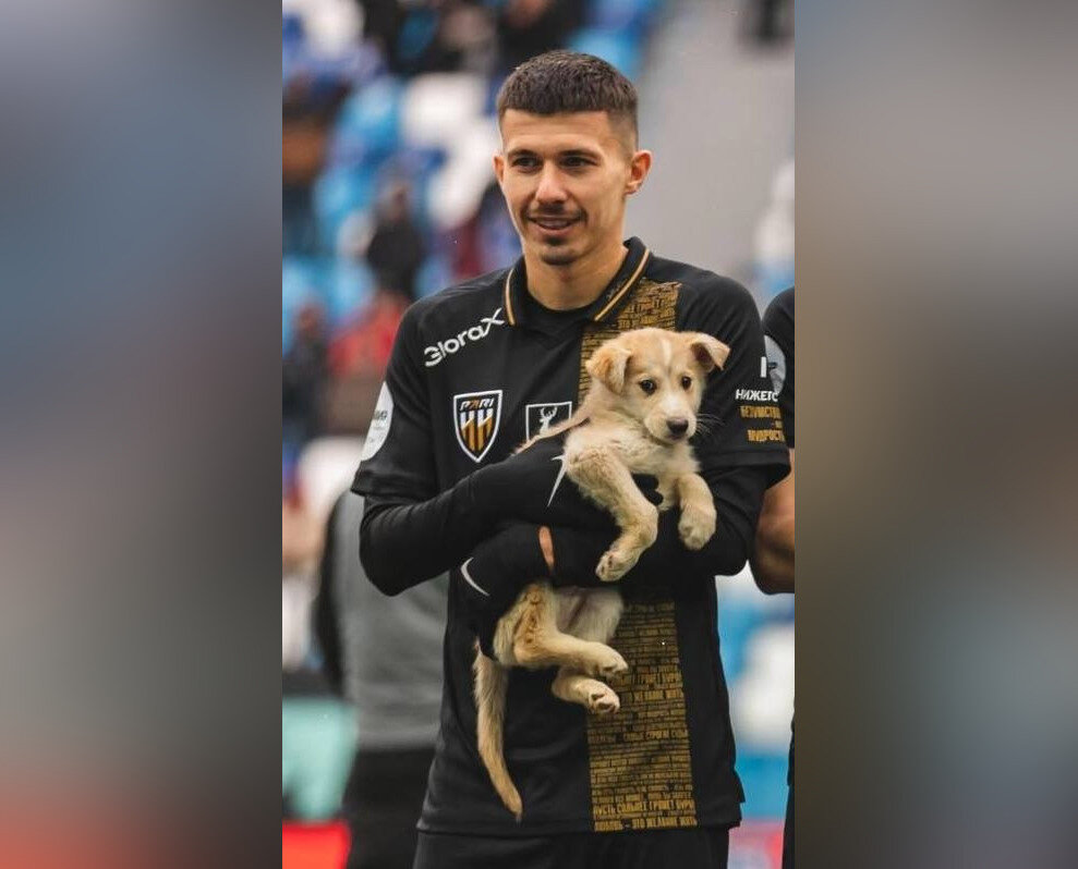    Новые хозяева пришли в приют за щенком, которого держал опорный полузащитник Николай Калинский Арина Полтанова