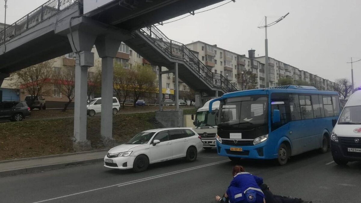 Мужчина упал с виадука прямо перед едущим автозаком во Владивостоке |  Восток-Медиа | Дзен