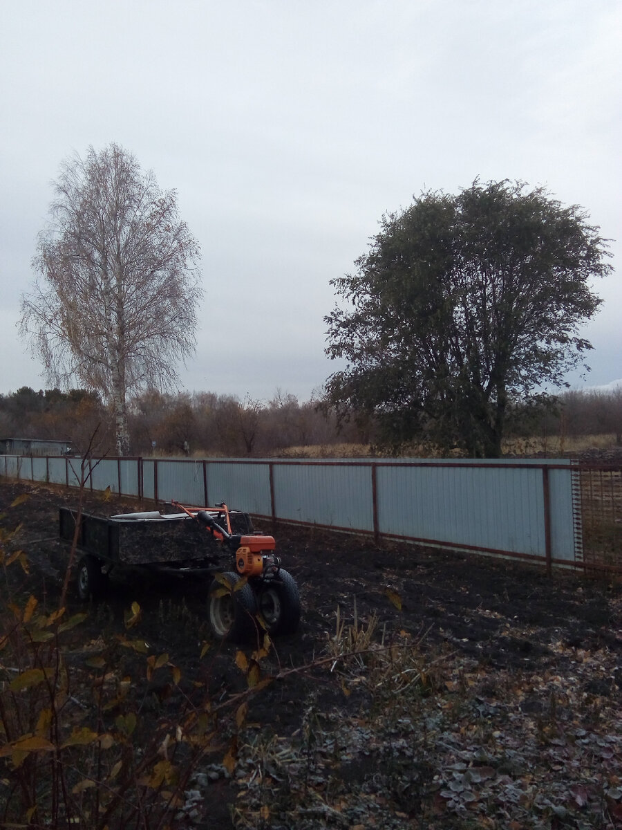 За нашим забором, тот самый сад