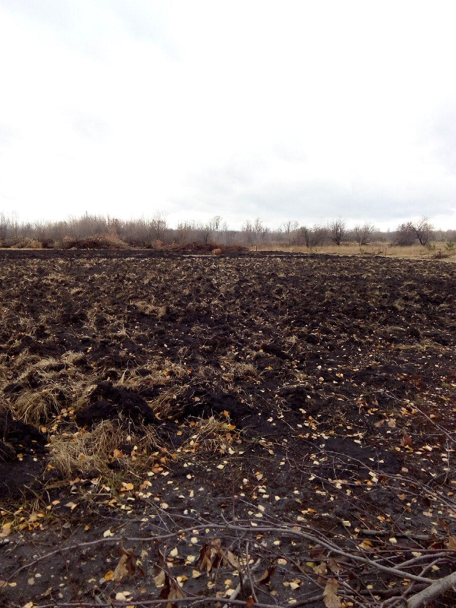 Почищенные от сухой травы. Выкорчеваны деревья и даже вспаханные.