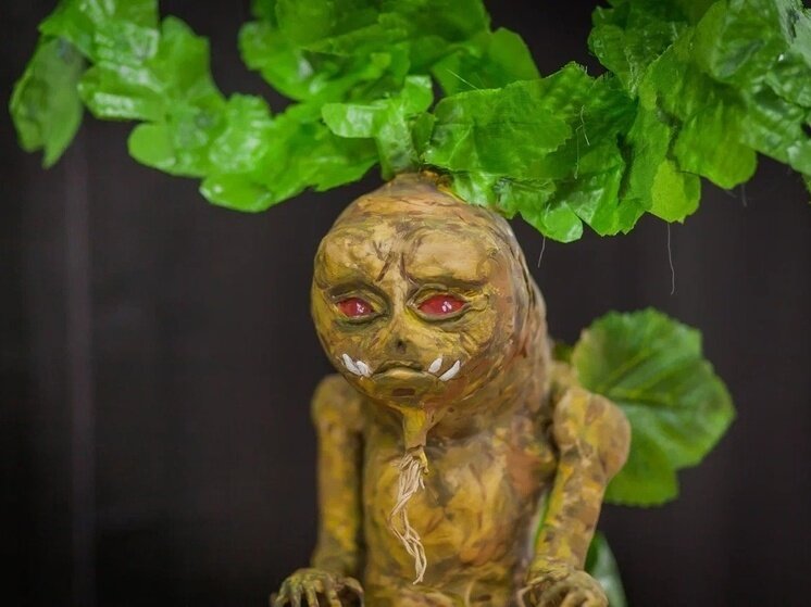     фото Библиотека Фрунзенского района СПб