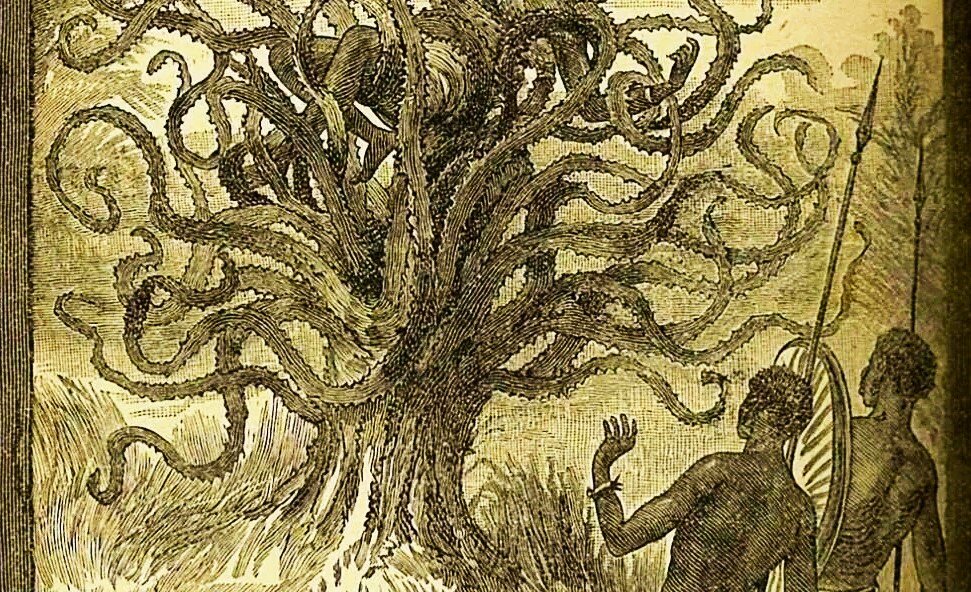 Дерево людоед с темного. Мифология дерево людоед. Мадагаскарское дерево людоед. Я-те-ВЕО мифология.