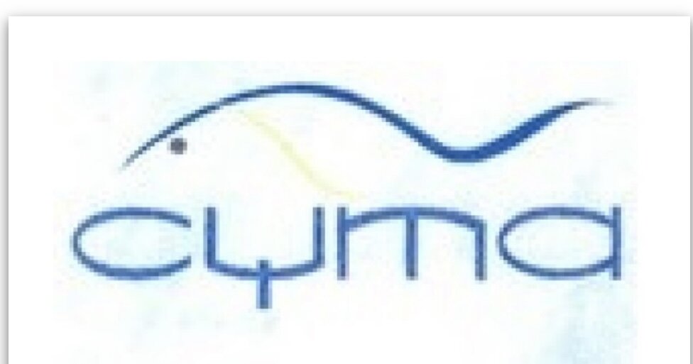 Заявленное обозначение от имени истца