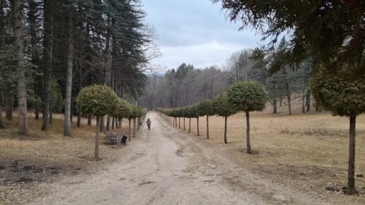 Прогулка по Курортному парку в Кисловодске🌲