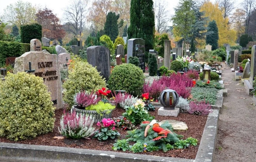 Трава для могилы не требующая ухода. Многолетники на кладбище засухоустойчивые. Цветы в цветнике на могиле.