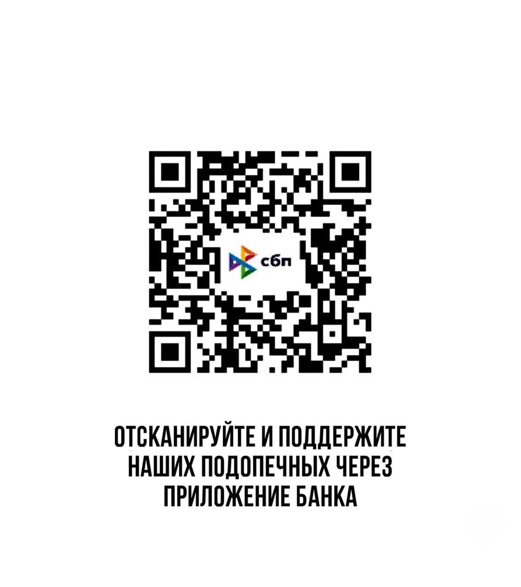 Все средства пойдут на лечения Александр Чеснокова