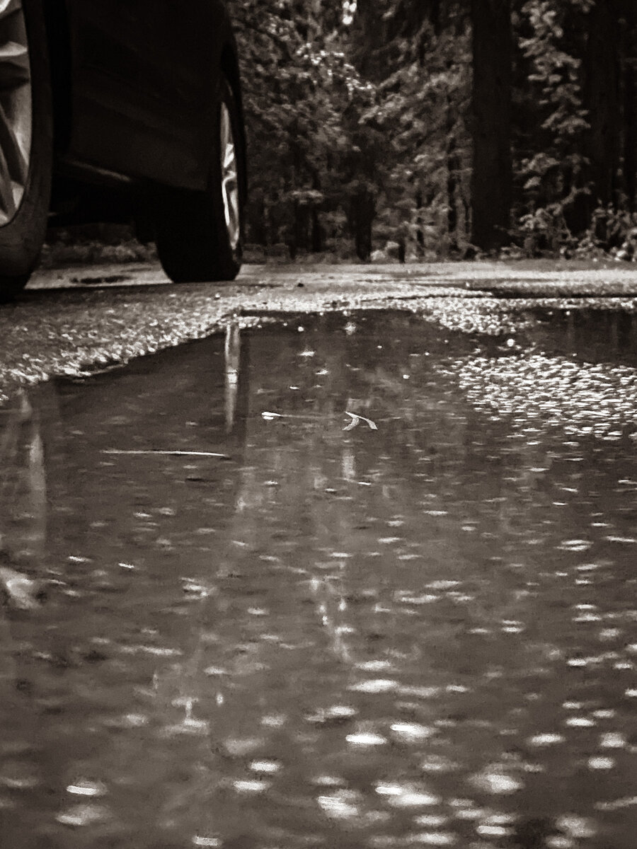 После дождя 