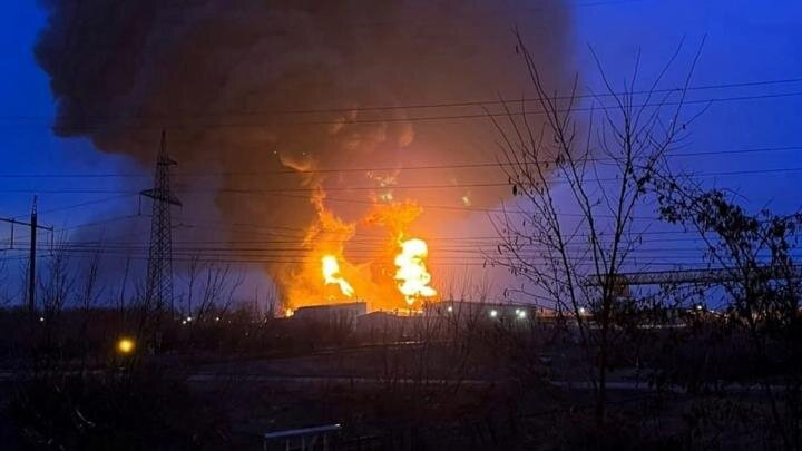 Фото: globallookpress.com / vk.com/ belinter