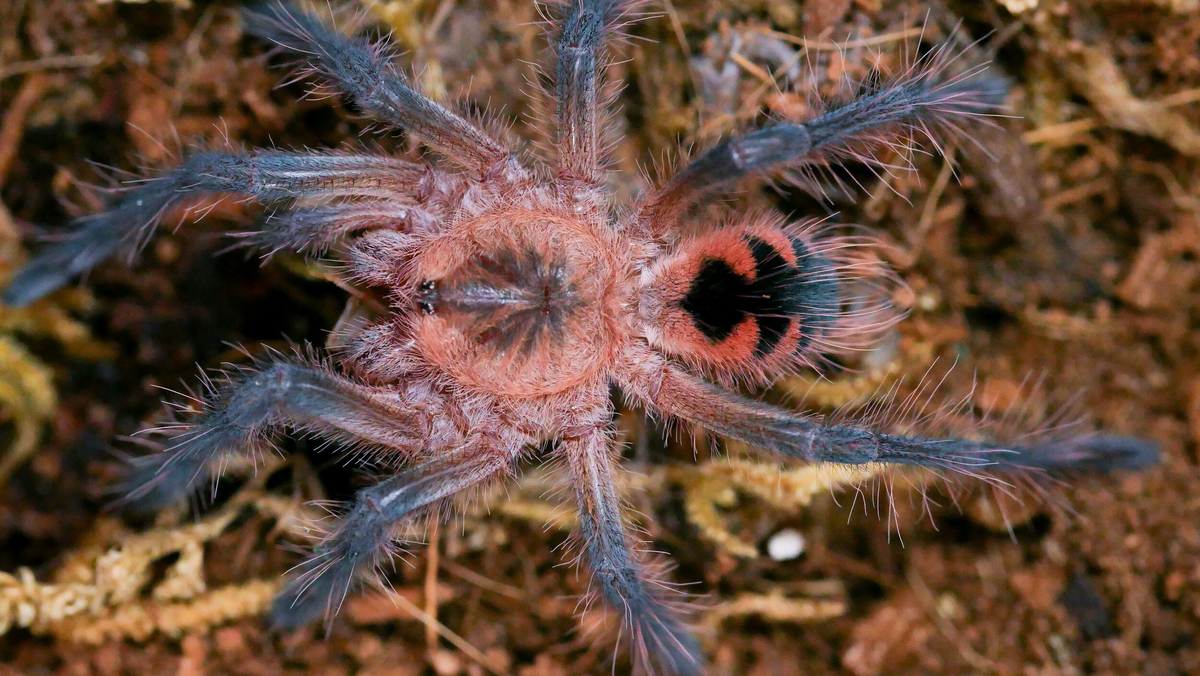 фото из Интернета 