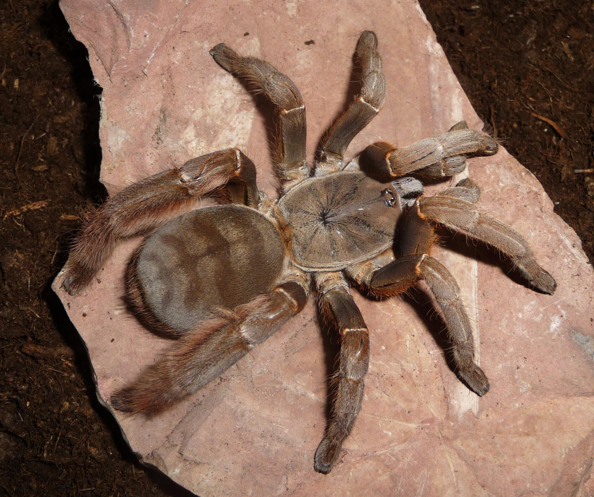 фото из Интернета