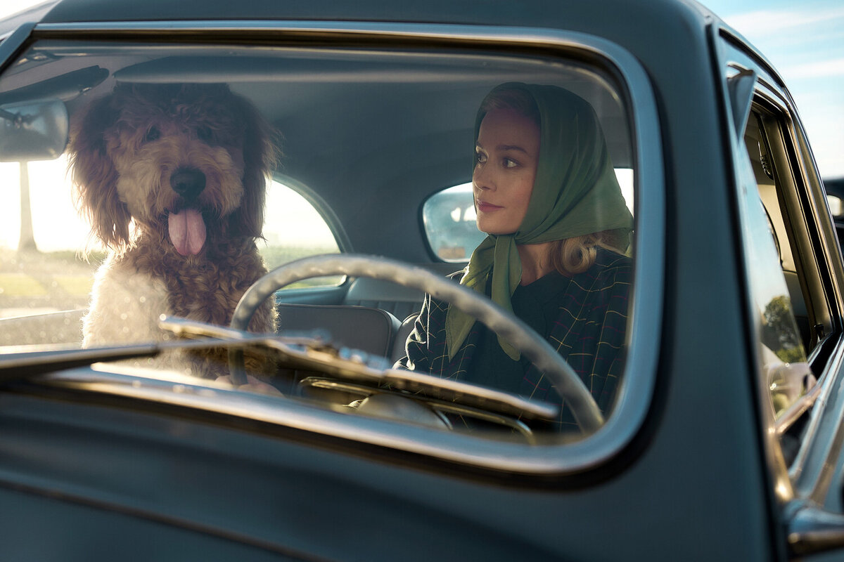 Рейтинг Кинопоиска: 7.7 из 10 баллов