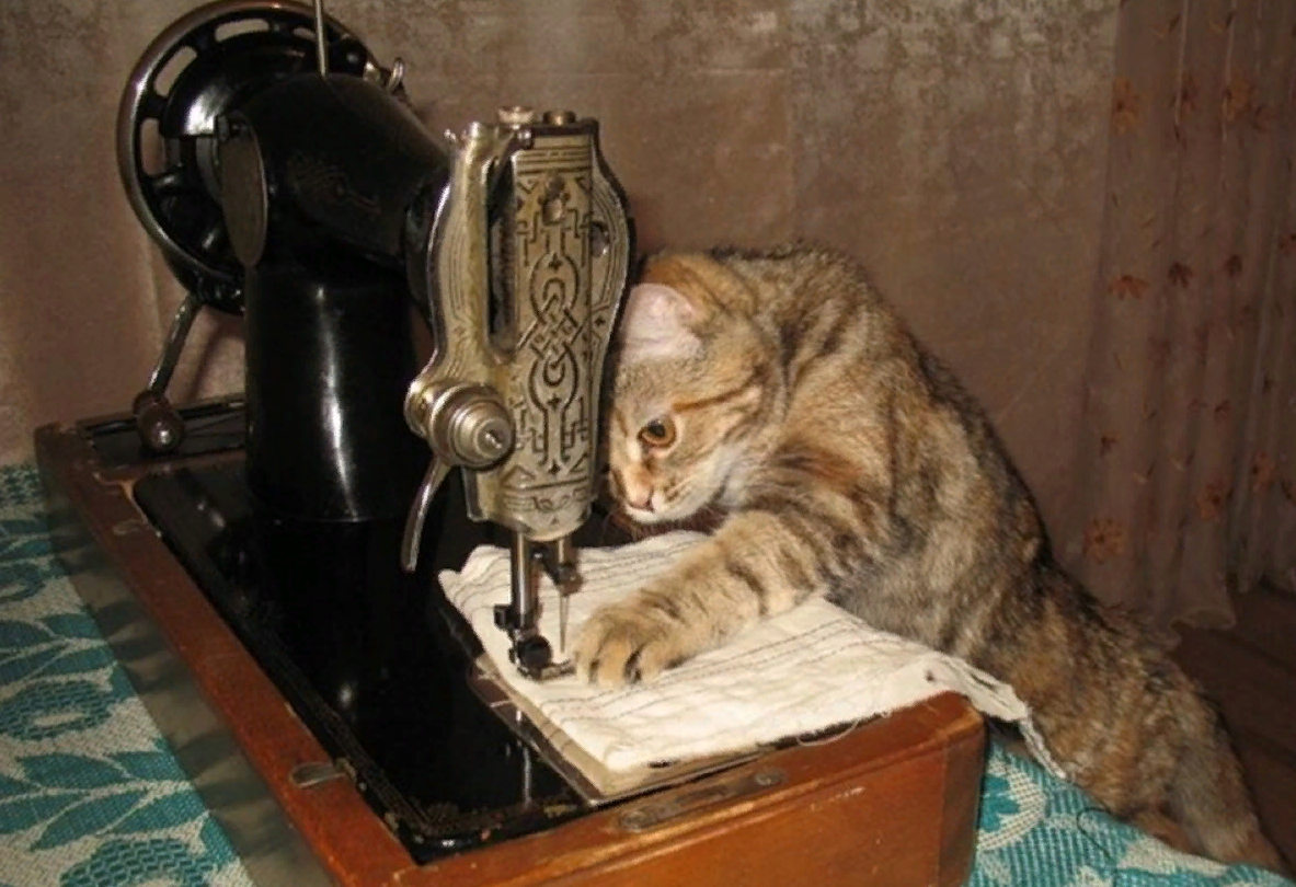 Кошка шила. Кот и швейная машинка. Коты и Швейные машинки. Кошка и швейная машинка. Кот шьет