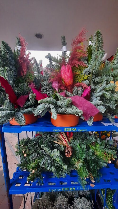 Вот они елочки-иголочки