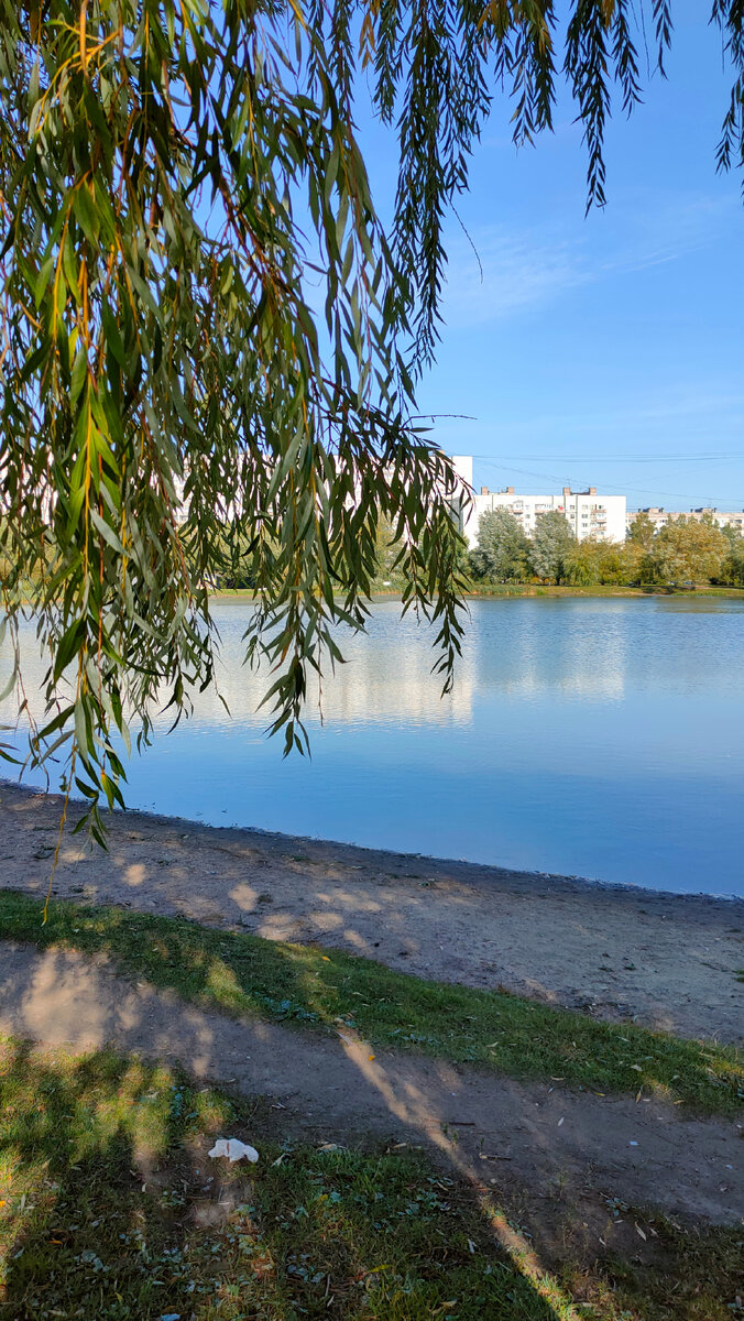 Фото автора 