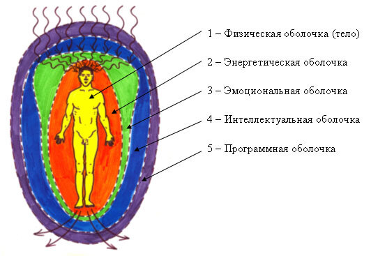 Структура энергоинформационных оболочек человека.