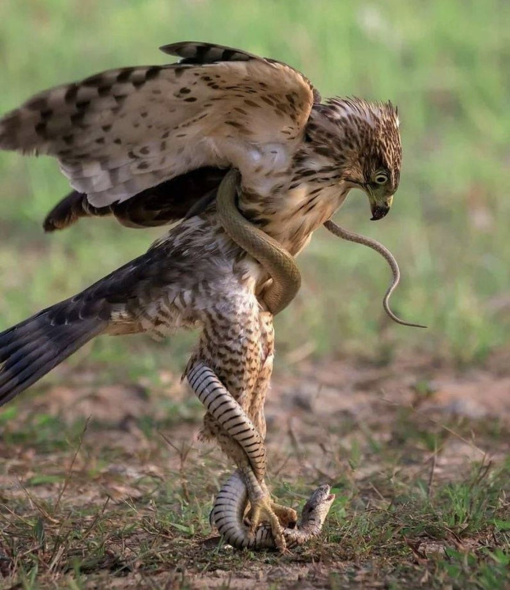 ���������?