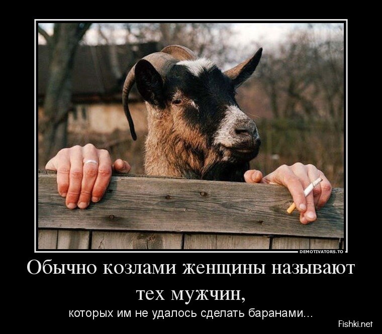 Картинка из интернета. 