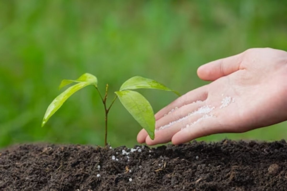    Краснодарский край вошел в число лидеров РФ по органическому земледелию