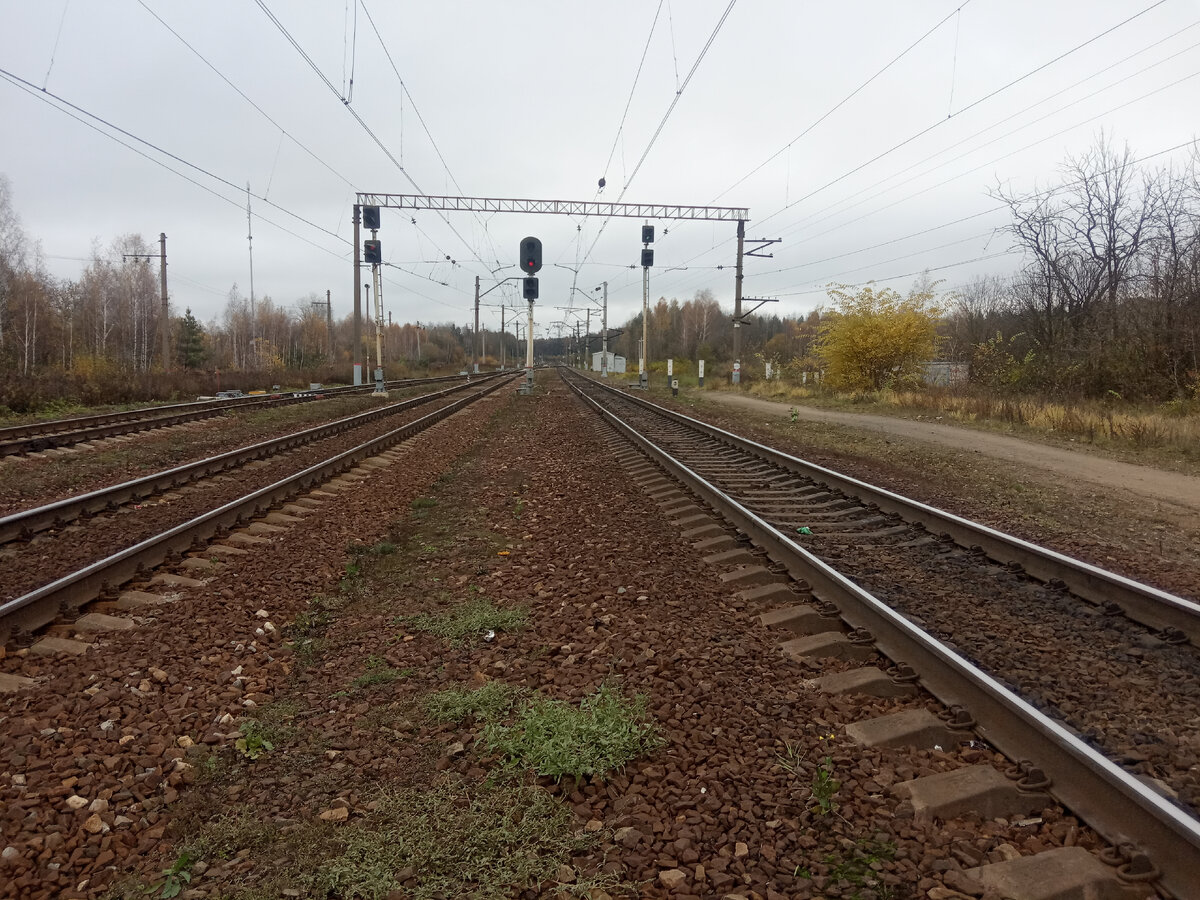 Вдаль, в сторону Черустей, Вековки да Мурома. Золотая осень постепенно подходит к своему завершению, чтобы смениться прохладой ноября и первым снегом.