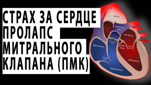 СЕРГЕЙ БУРДУК - СТРАХ ЗА СЕРДЦЕ ПРОЛАПС МИТРАЛЬНОГО КЛАПАНА.