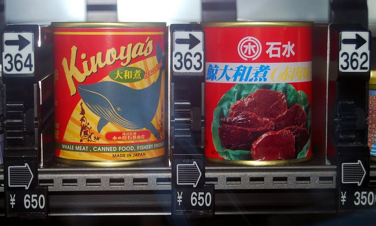 Консервы китовое мясо ссср фото