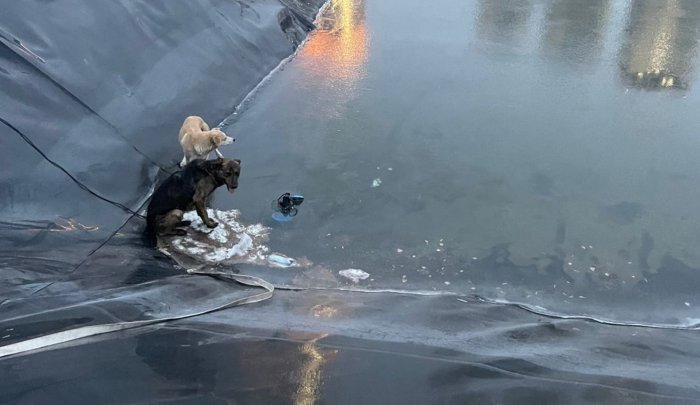 Фото: Спасатели МАСС